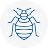 Bed Bug Extermination In West Horsham