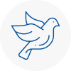 Bird Prevention West Horsham