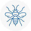 West Horsham Hornet Nest Removals