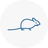 Mice Exterminators In West Horsham