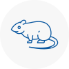 Rat Control West Horsham