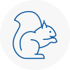 West Horsham Rodent Removals