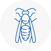 West Horsham Wasp Nest Removal